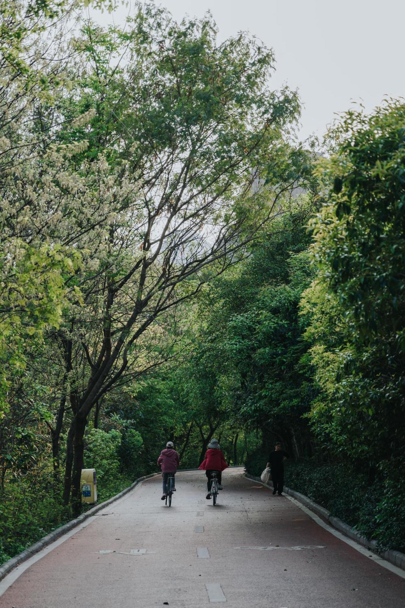 Guilin Bonjour Boutique Hotel- Free Pick Up Service Over 3 Nights Luaran gambar
